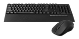Rapoo X1960 Wireless Combo
