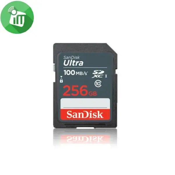 SanDisk SDSDUNR GN3IN 256GB