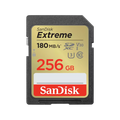 SanDisk SDSDXV5 256GB GNCIN