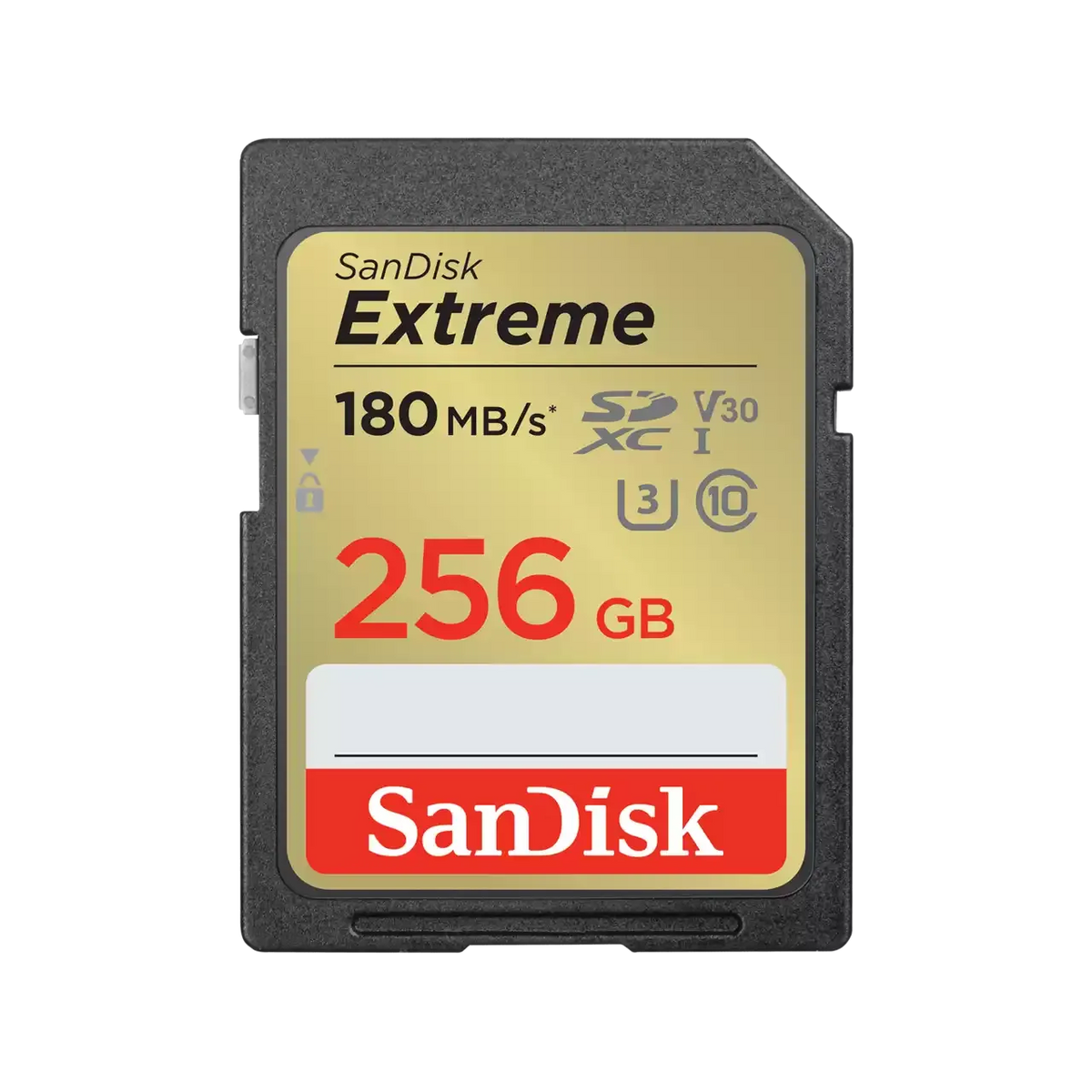 SanDisk SDSDXV5 256GB GNCIN